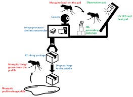 Mosquito Auto Identification Scheme using Image Extraction Techniques